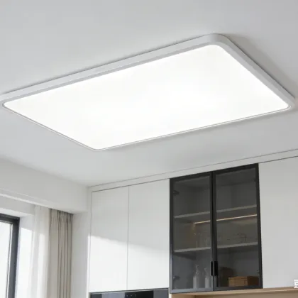 Ceiling-mounted LED ambient light