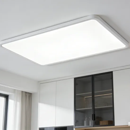 Ceiling-mounted LED ambient light