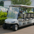 8-seater lead-acid battery car