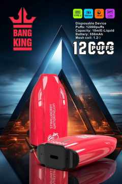 Bang King 12000 Puffs Ecig New Disposable Device