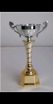 Metal trophy