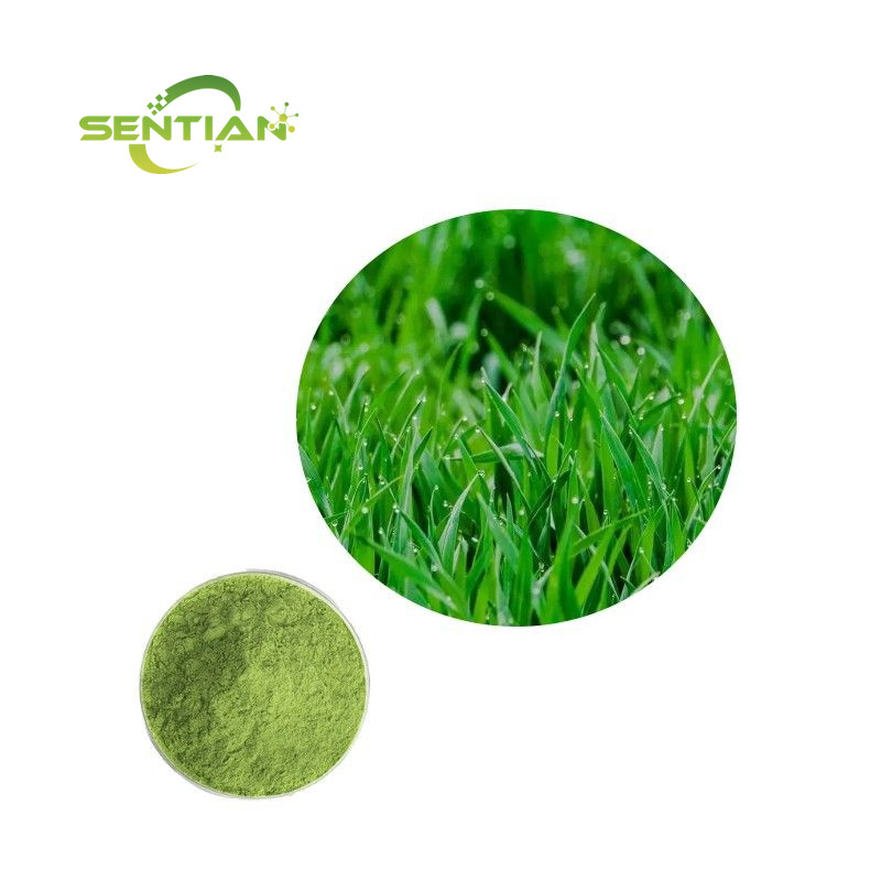 Supply Grass Fruit Extract Powder