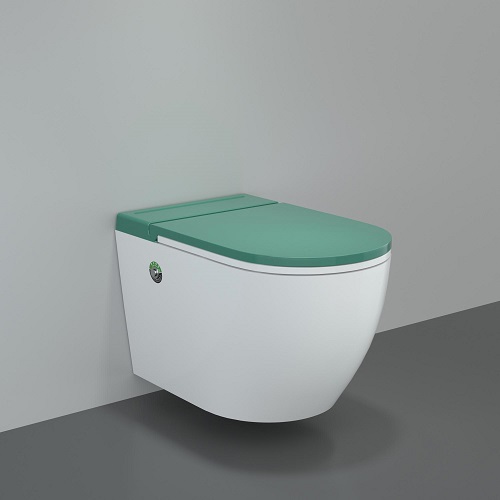 Toilettes allongées bidet d'eau sauve