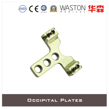 Occipital Plates