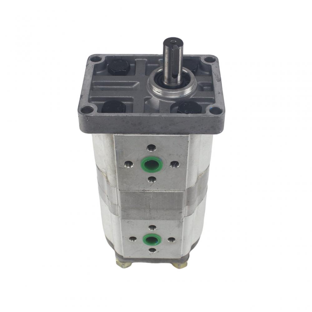 CBN Aluminum alloy hydraulic Two-way double gear pump