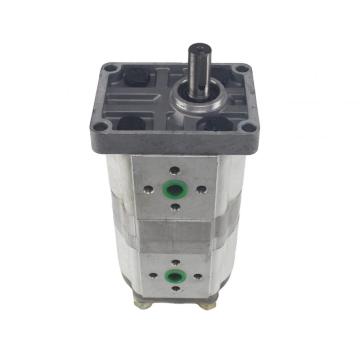 CBN aluminyo haluang metal hydraulic two-way double gear pump