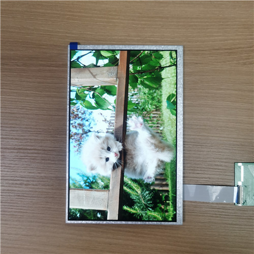 10.1 Inch LCD TFT Display