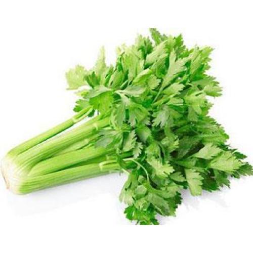 Kudzu Root Extract Celery Extract Apigenin 5% Supplier