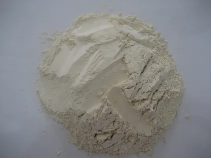 Wholesale Organic Garlic Powder