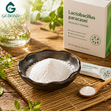 Lactobacillus Paracasei for Dietary Supplements
