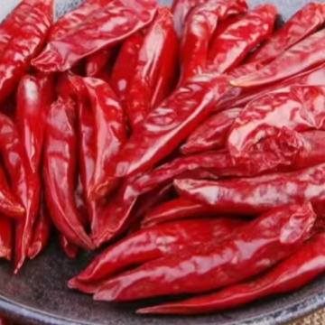 High Capsaicin Content Pungency Levels