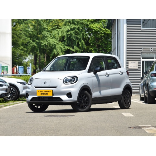 2024 Vânzare cu ridicata Mini vehicul electric pur