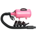 Sèche-cheveux pour animaux de compagnie de chien portables 2400W