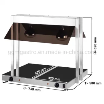 Hot Sale Food Warmer Heat Retaining Plate with 2 Heat Lamps