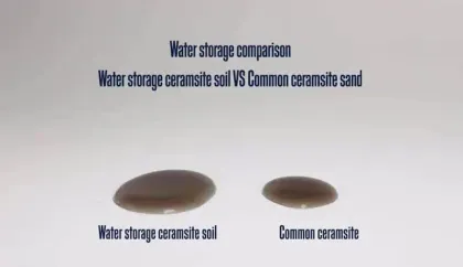 Water Storage Ceramsite for Agricultural/Plants/Sponge city
