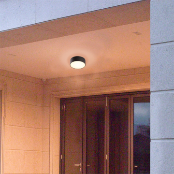 Smart Outdoor Wall Light 2172-ZC