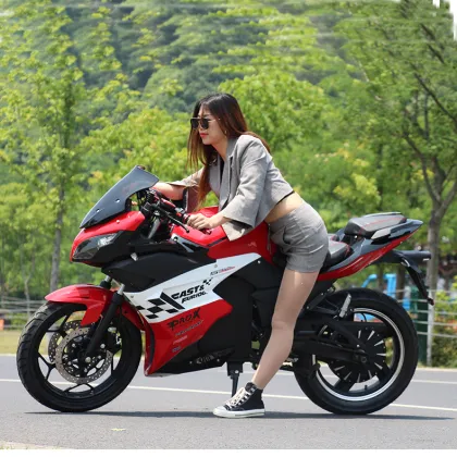 Electric Motorcycle Tailg Motorbike Speed Cruiser White Adult Controller China Canada