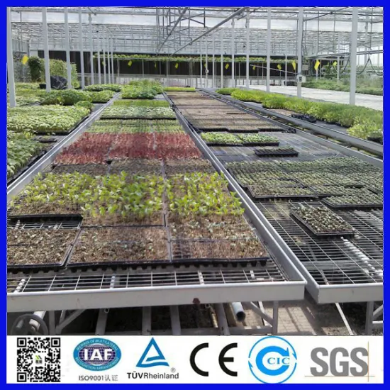 Galvanized seedbed welded wire mesh panel