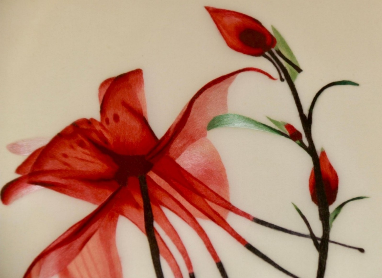 traditional embroidery