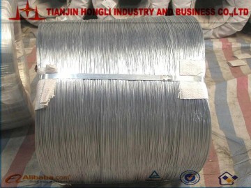 Galvanized iron wire(made in china)
