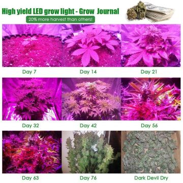 Hot Selling 300W LED Grow Light voor bloei