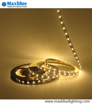 DC24V Dual White SMD5630 SMD LED Strip Light