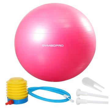Anti-burst PVC Gym Ball Exercise Balance Stability Fitness 75 CM Yoga Ball With Air Pump