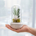 Glass flower reed aroma diffuser