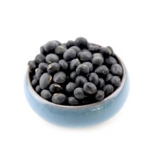 Hot selling black bean dry