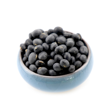 Food Grade Big Black Soybean Yellow Kernel