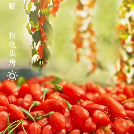 High Quality Lower price Goji Berry