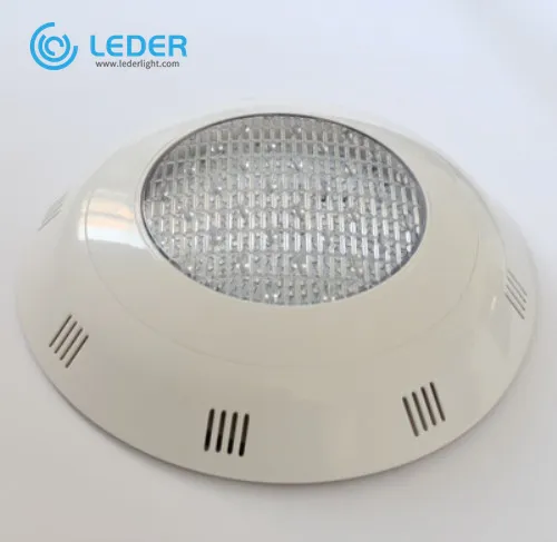 LEDER Morden Wall Mounted LED Pool Light