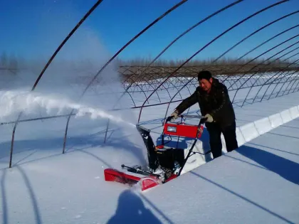 Snow Thrower; Gas Snow Blowers; snow blower