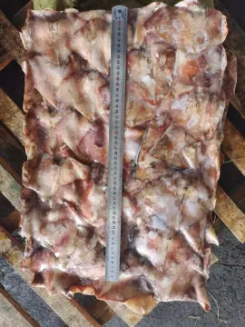 Frozen Squid Leftover Wing Dosidicus Gigas 300-500g