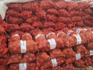 4 - 6cm 20k Seasonable Small Fresh Onion No Budding , Whole