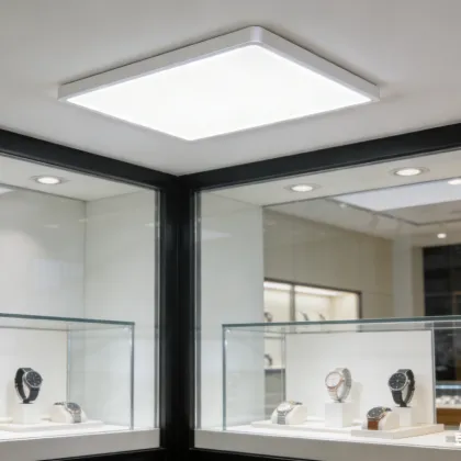 Ceiling-mounted LED ambient light