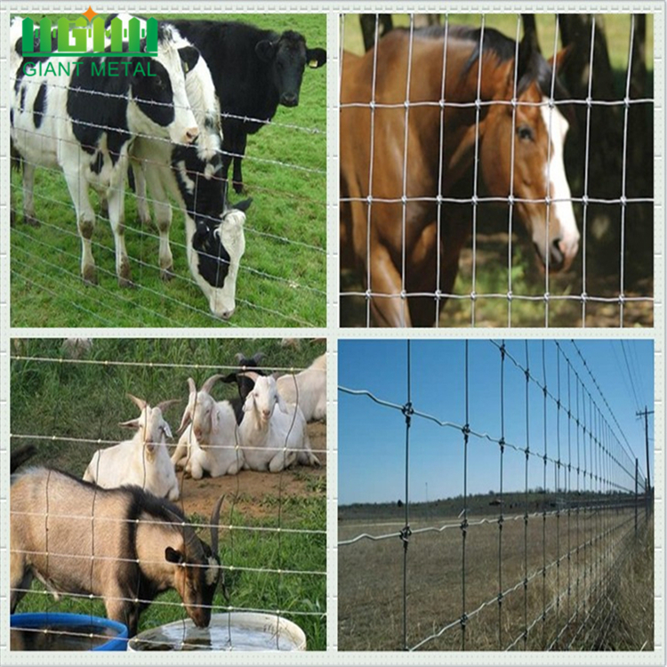 Knot Woven Wire mesh Deer Farm Fence