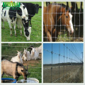 Best Farm Guard Field Fence Horse Fencing