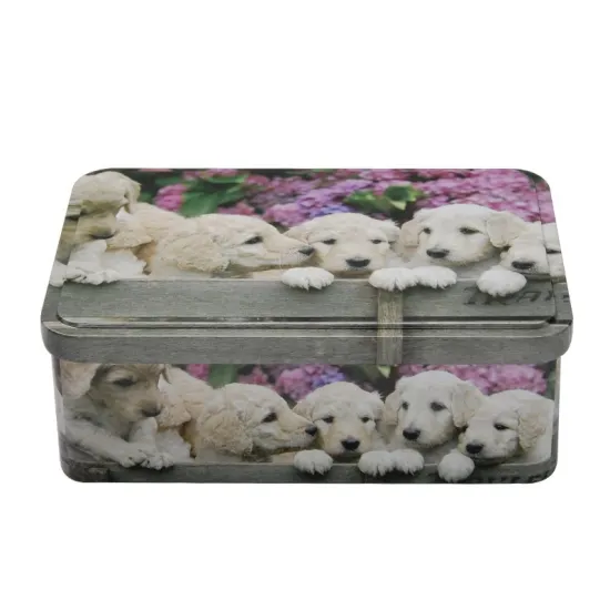 pet dog food packaging tin box with custom design