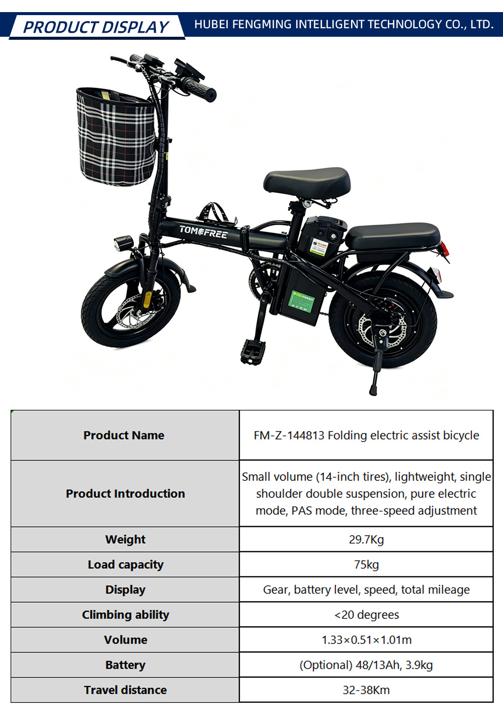 YY013 FM-Z-144813 Folding electric assist bicycle-X