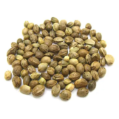 Hot Sale hemp seed extract hemp seed powder
