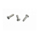 Stainless/Steel slotted pan head screws