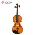 Maestro avanzado hermoso color agradable sonido violín