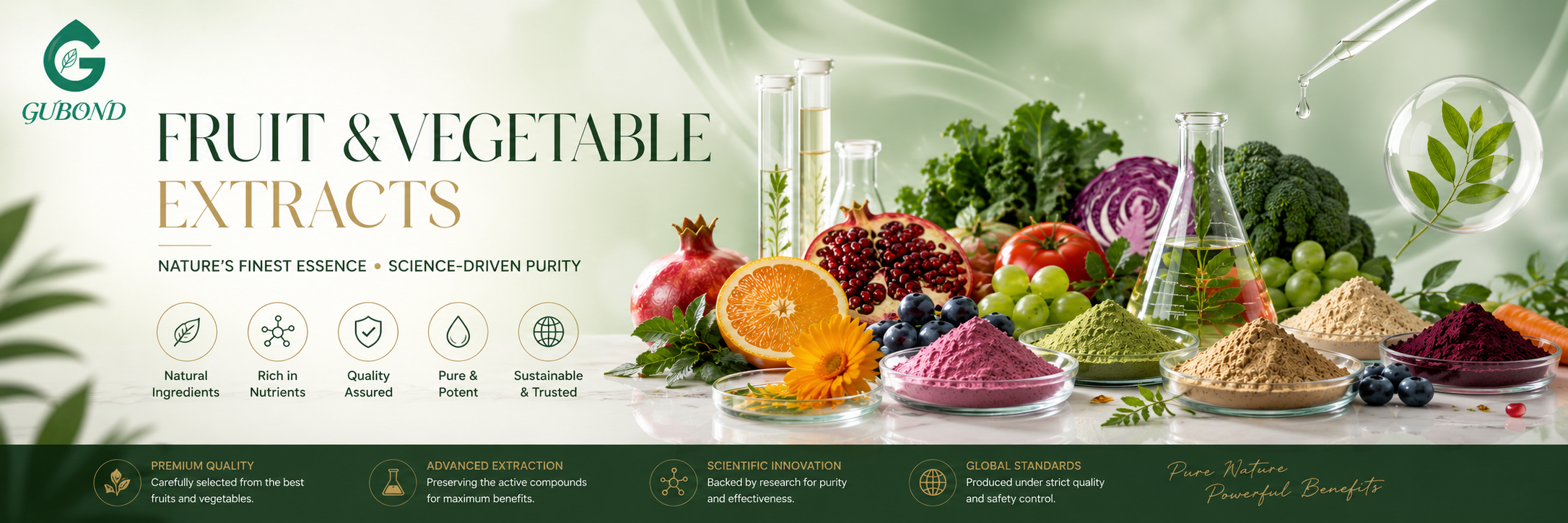 Fruit and vegetable extracts