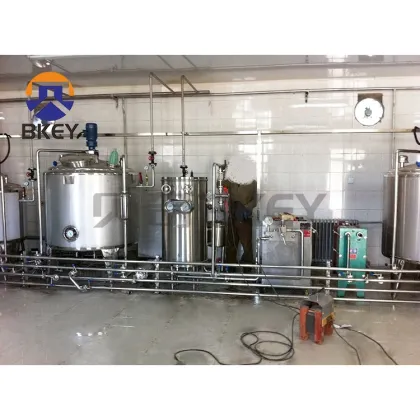 BKEY Factory Price Professional Made Evaporated Milk Coconut Milk Processing Machines