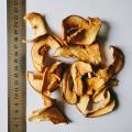 Dried Apple Slices with No Sulfur
