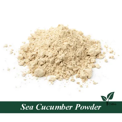 Wholesale sea cucumber powder sea cucumber peptide