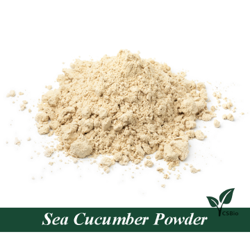 Wholesale sea cucumber powder sea cucumber peptide