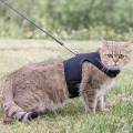 Pet Cat harness adjustable with leash