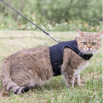 Harnais de chat de compagnie réglable avec laisse